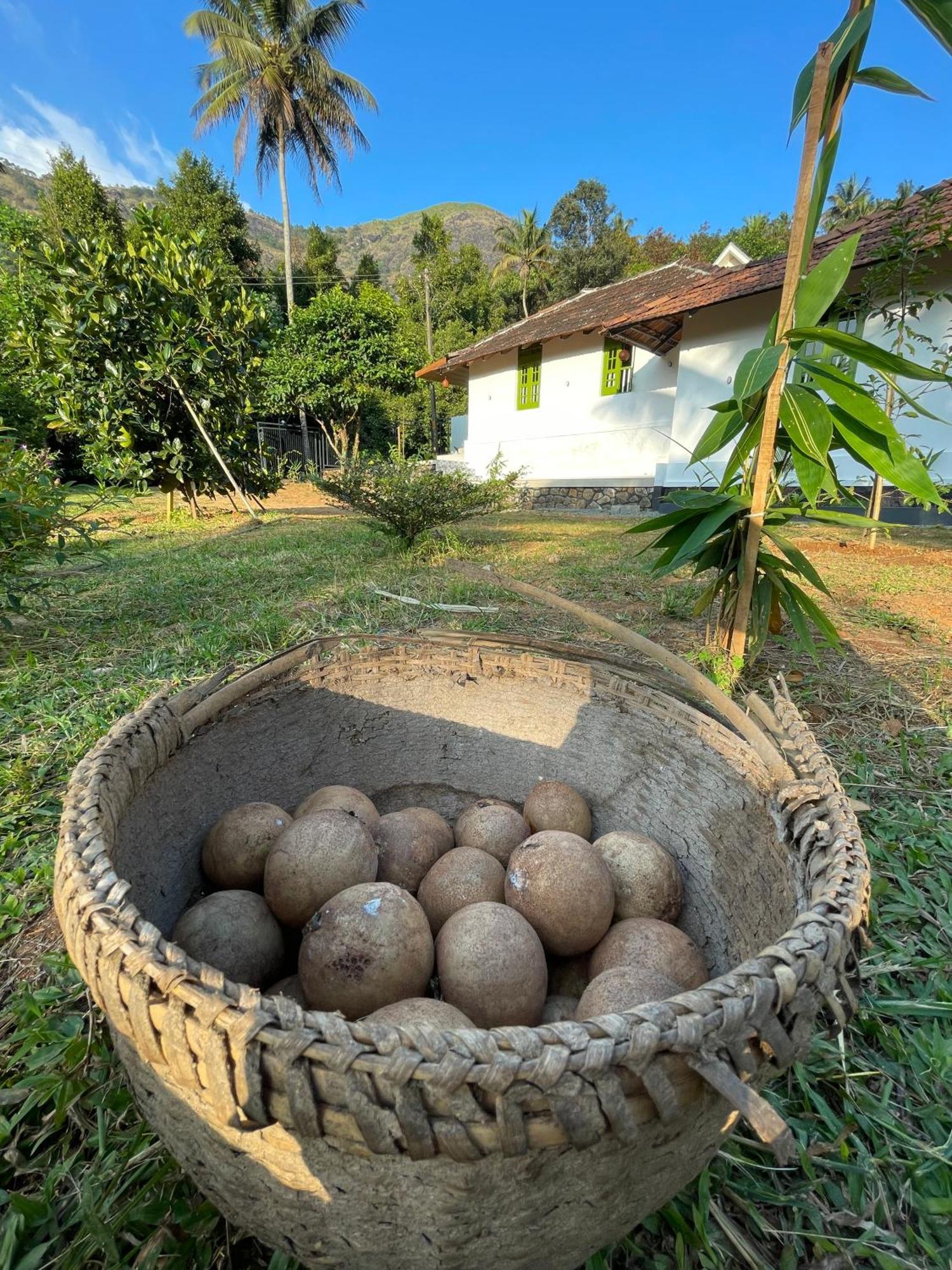 Calm Shack - 2 Bedroom-Boutique Farm Stay 蒙纳 外观 照片