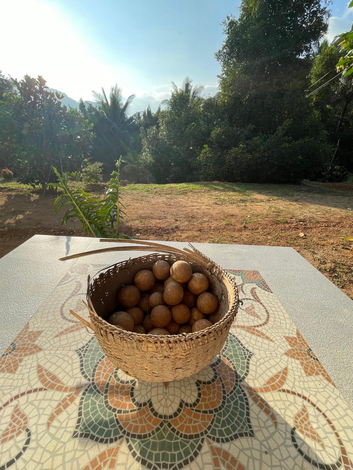 Calm Shack - 2 Bedroom-Boutique Farm Stay 蒙纳 外观 照片